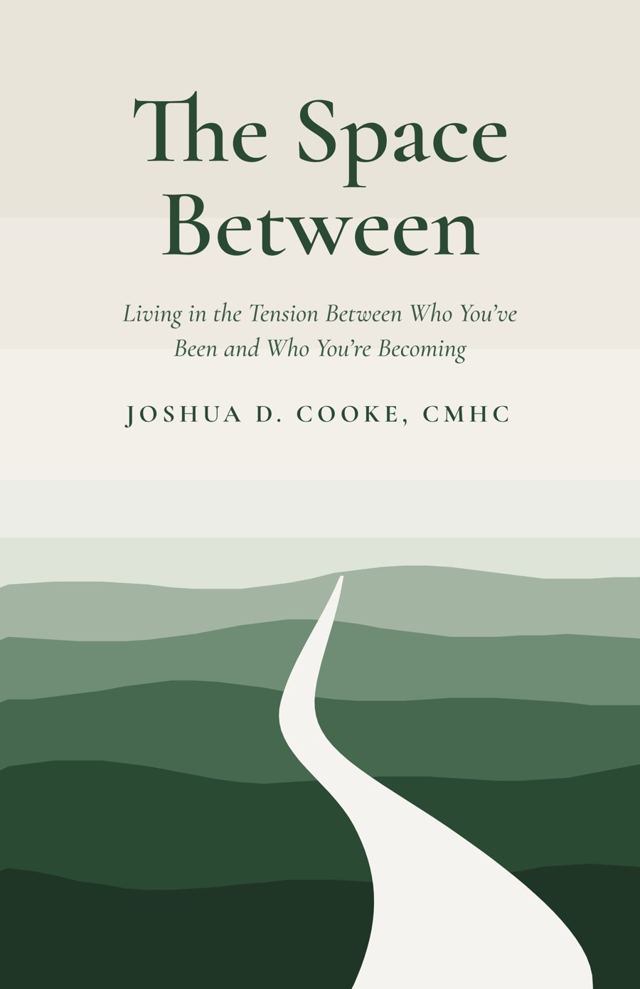 The Space Between by Joshua D. Cooke, book cover